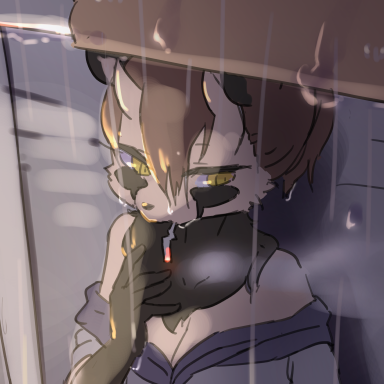 キャラシ