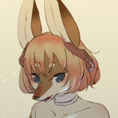 キャラシ