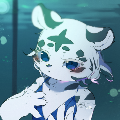 キャラシ
